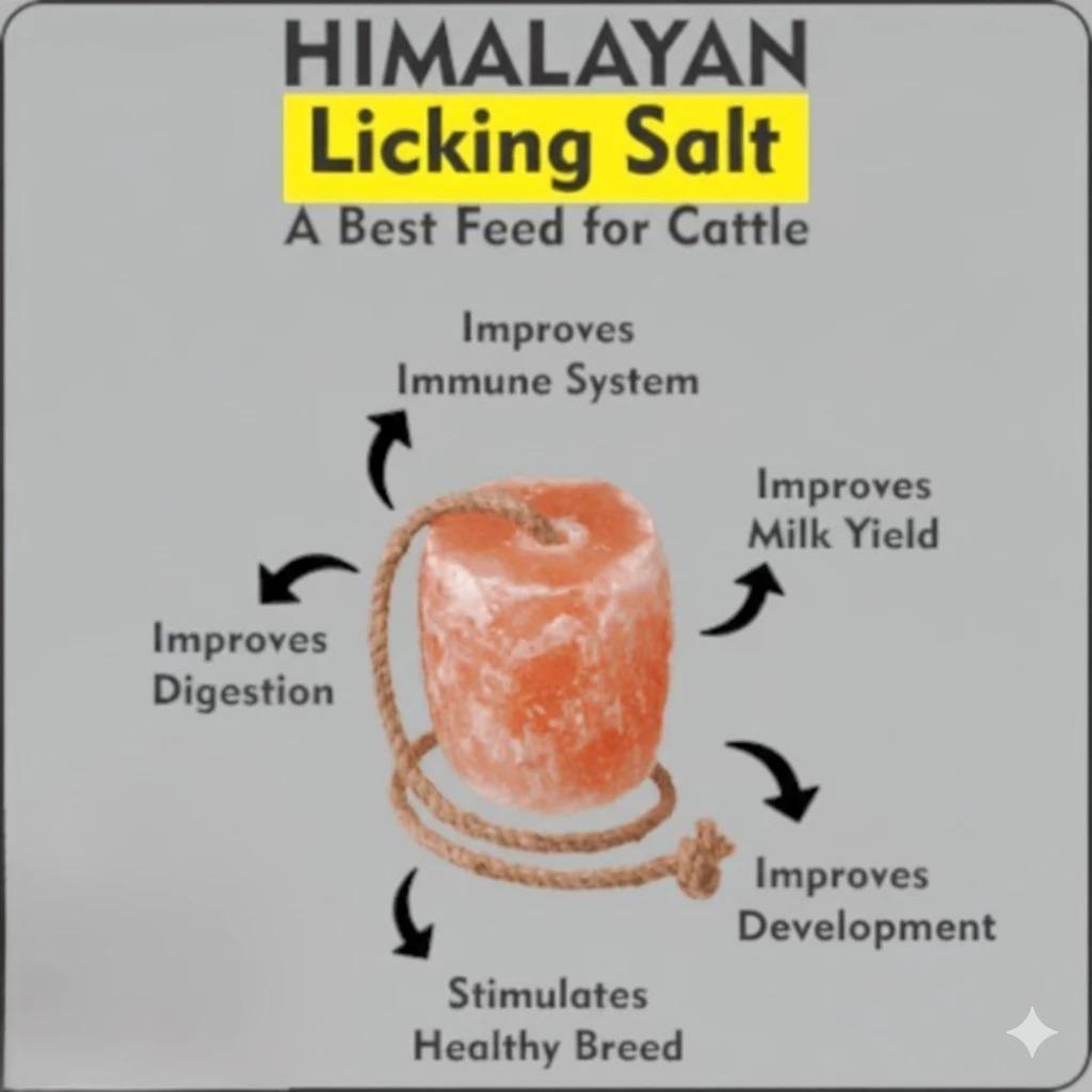 Animal Licking Salt 2-4kg – Garam Mineral Semula Jadi Untuk Lembu, Kuda & Kambing